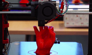 I'm not sure why the gif isn't displayed here